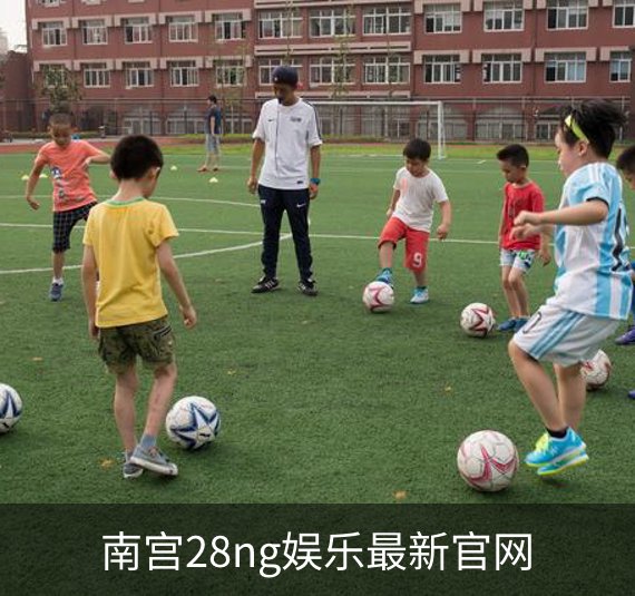 南宫28ng娱乐最新官网概况